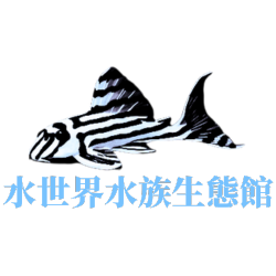 水世界水族