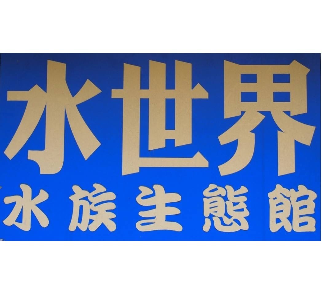 水世界消息
